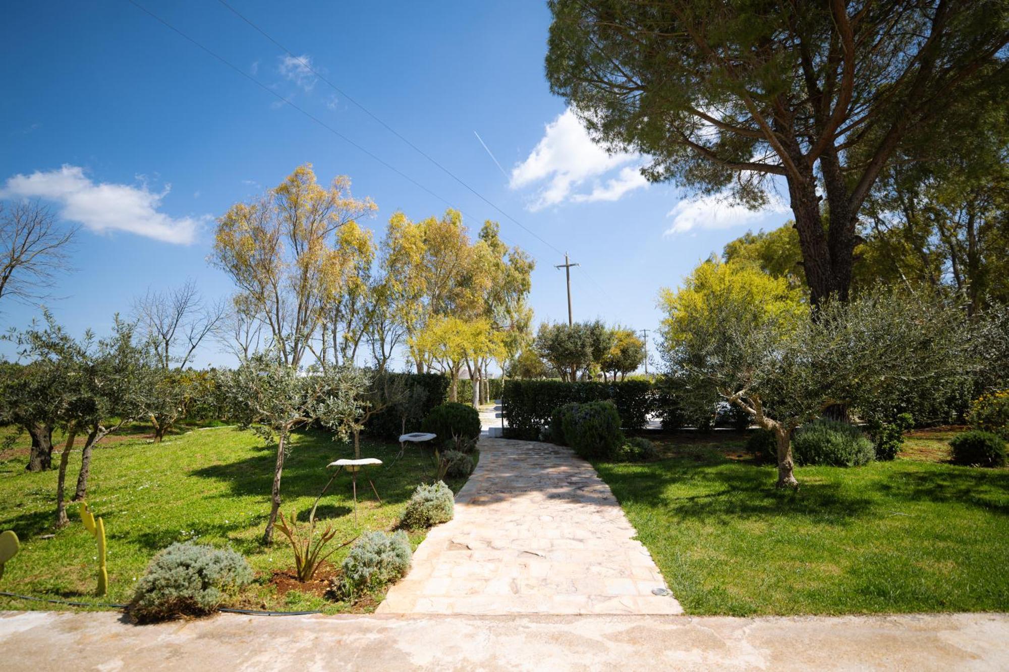 Masseria San Michele 马丁纳弗兰卡 外观 照片
