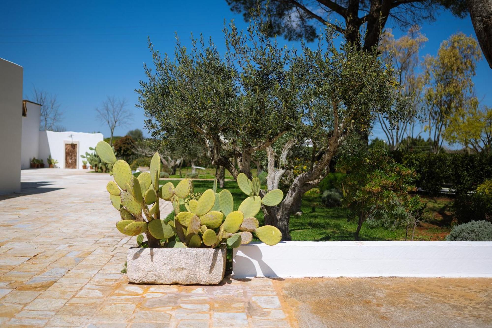 Masseria San Michele 马丁纳弗兰卡 外观 照片